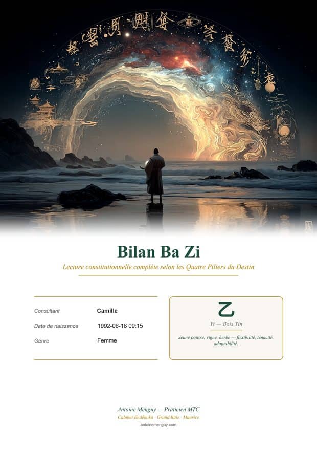 Exemple de couverture du Bilan Ba Zi